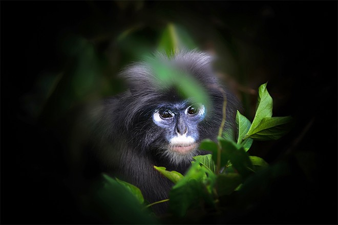 Ecco perché Langkawi dovrebbe essere il prossimo nella tua lista 